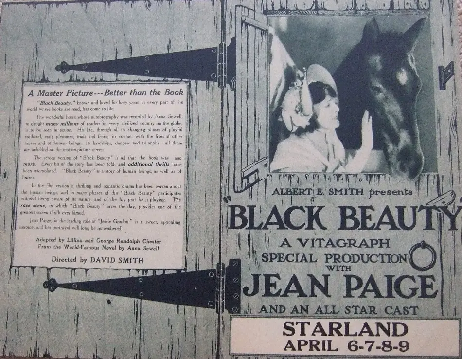 Black Beauty scene