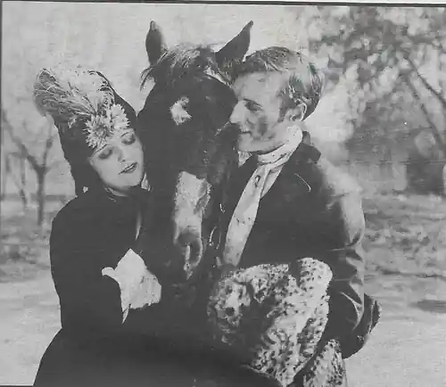 Black Beauty scene