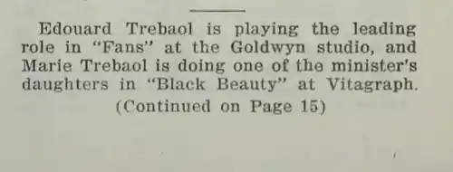 Black Beauty photo