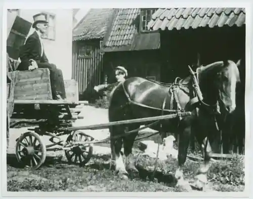Cirkus Bimbini scene
