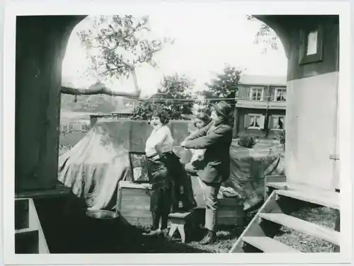 Cirkus Bimbini photo