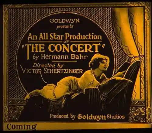 The Concert scene