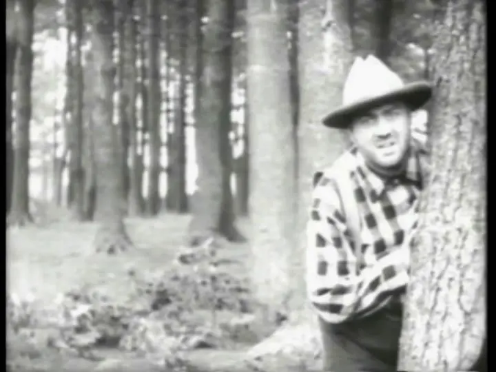 My Lady o' the Pines