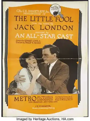 The Little Fool photo