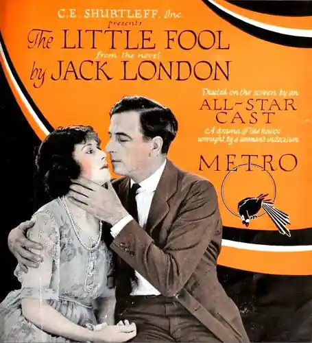 The Little Fool photo