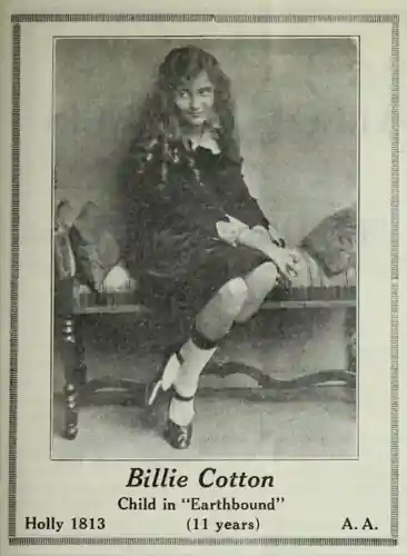 The Old Nest photo