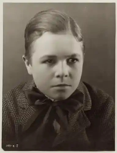 The Old Nest photo
