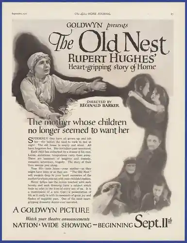 The Old Nest photo