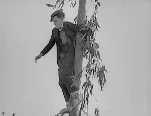 The Paleface scene