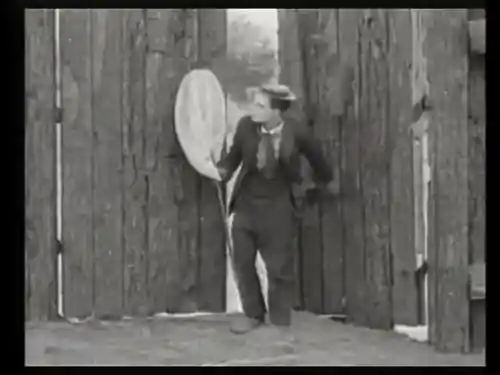 The Paleface photo