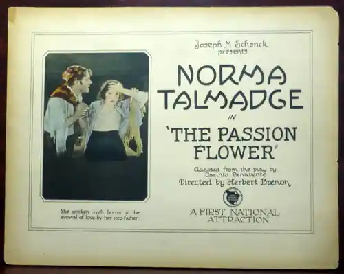 Passion Flower photo