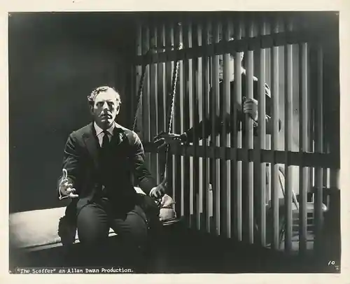 The Scoffer photo
