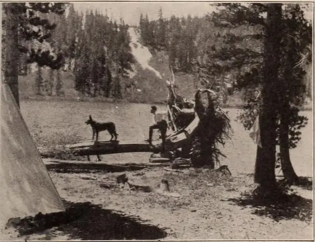 The Silent Call scene