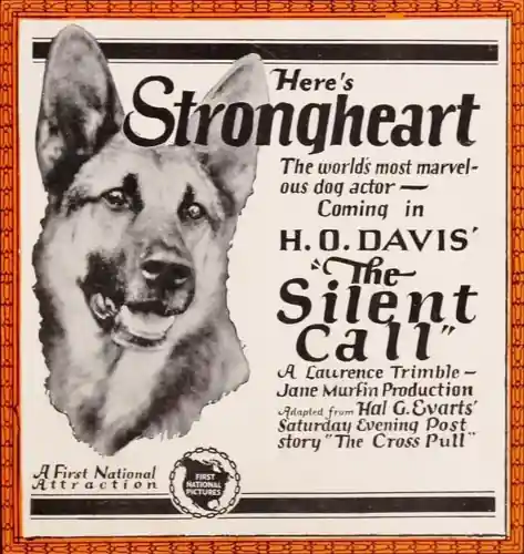 The Silent Call photo
