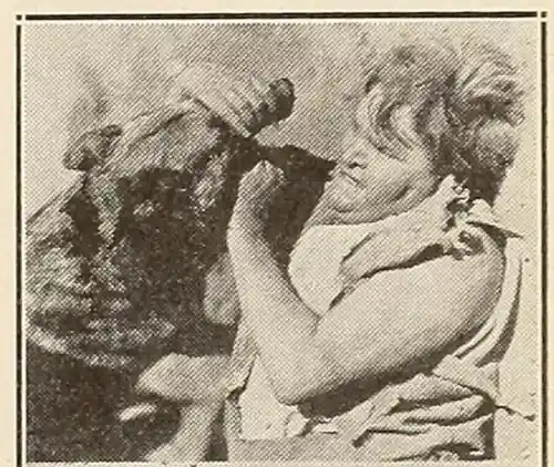 The Silent Call photo
