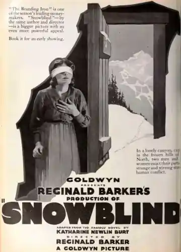 Snowblind photo