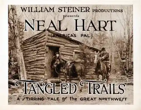 Tangled Trails scene