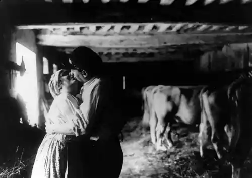 La terre photo