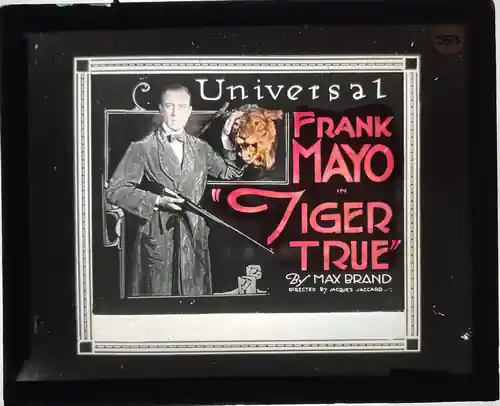 Tiger True photo
