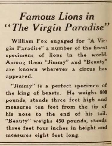A Virgin Paradise