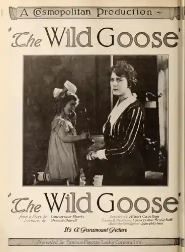 The Wild Goose photo