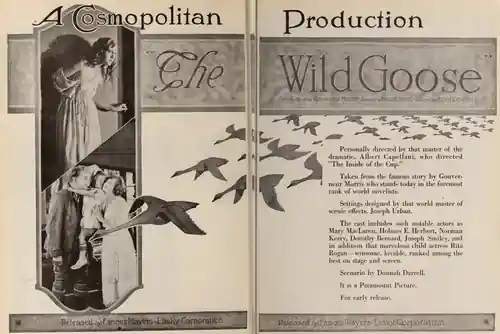 The Wild Goose photo