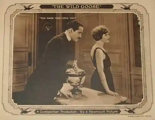 The Wild Goose photo