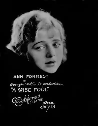A Wise Fool photo