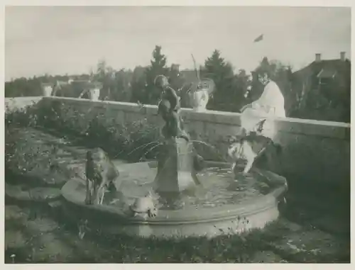 Amatörfilmen photo