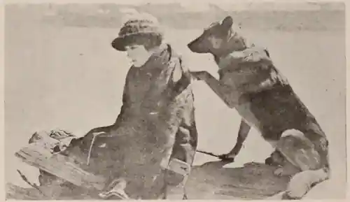 Brawn of the North scene