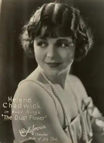 Dust Flower scene