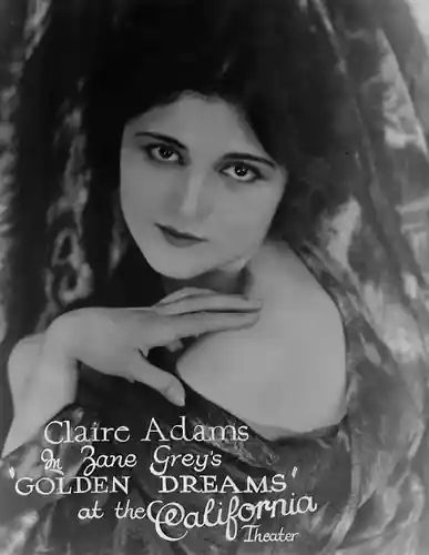 Golden Dreams photo