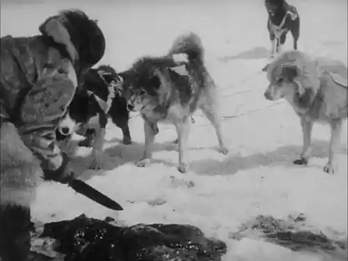 Nanook of the North photo