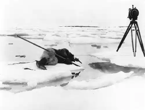 Nanook of the North photo