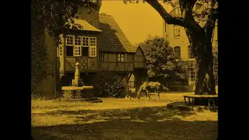 Nosferatu photo