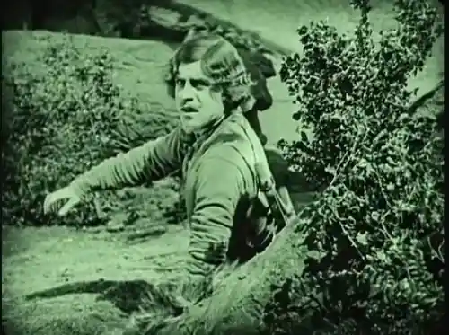 Robin Hood scene