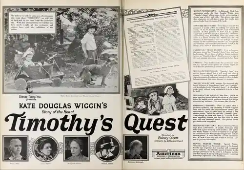 Timothy's Quest scene