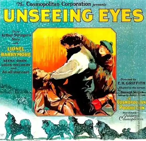 Unseeing Eyes scene