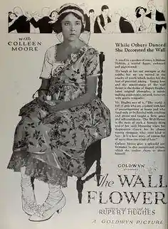 The Wall Flower photo