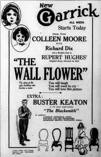 The Wall Flower photo
