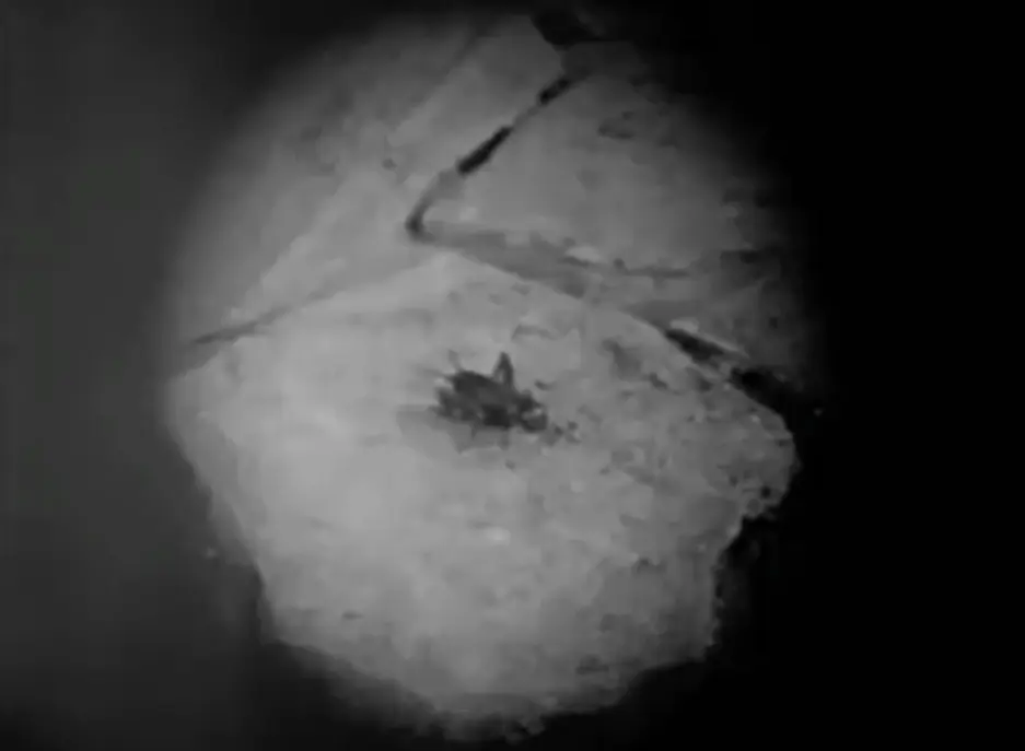 The Cricket on the Hearth scene