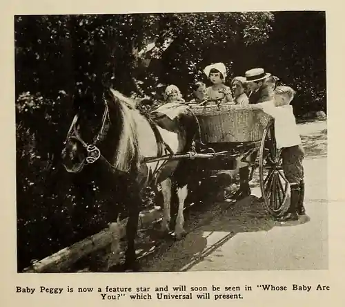 The Darling of New York photo