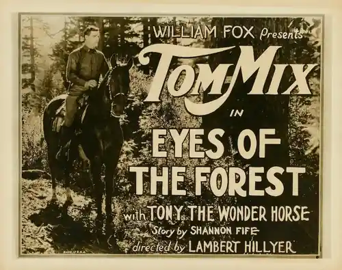 Eyes of the Forest scene