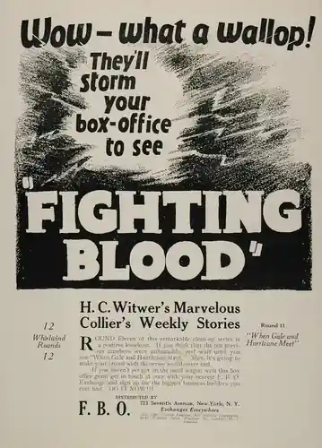 Fighting Blood photo