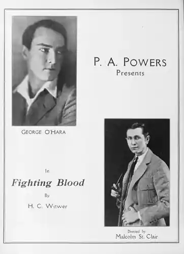 Fighting Blood photo