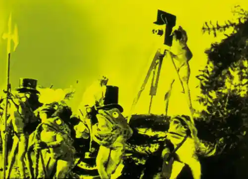 The Frogs Who Wanted a King scene