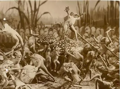 The Frogs Who Wanted a King scene