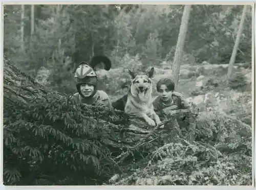 Malar Pirates photo