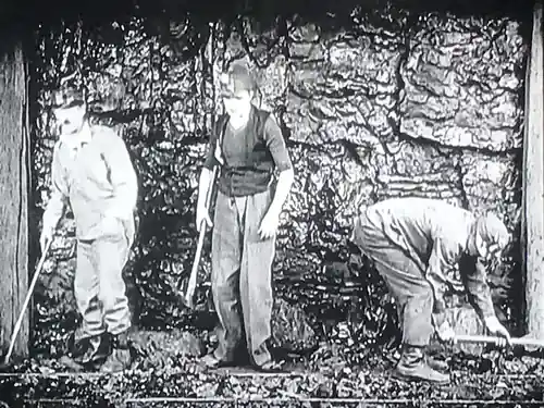 Pick and Shovel photo