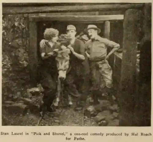Pick and Shovel photo